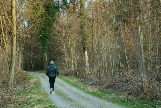 Photo Forêt et société